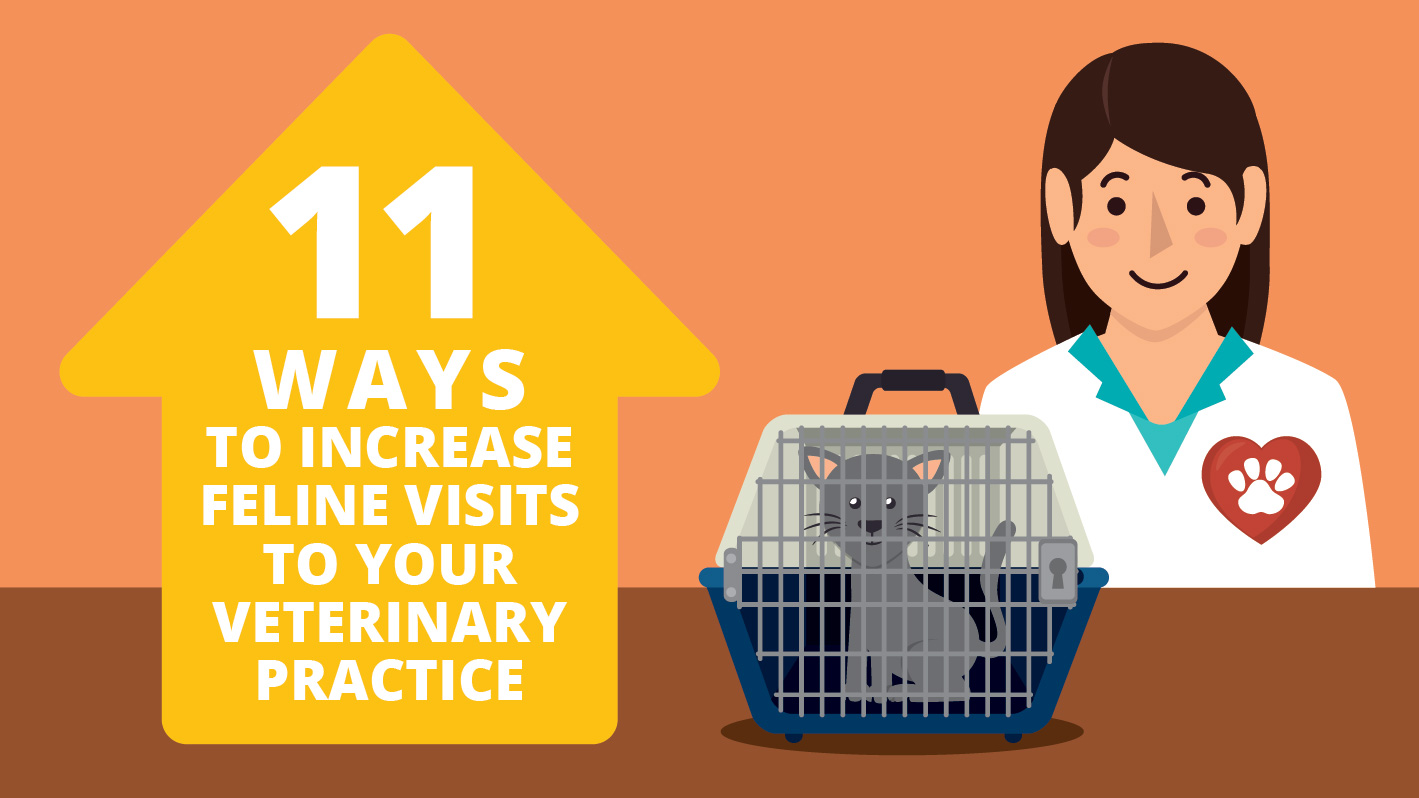 ways to increase feline visits to your veterinary practice