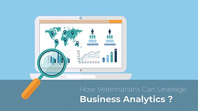 how veterinarians can leverage business analytics