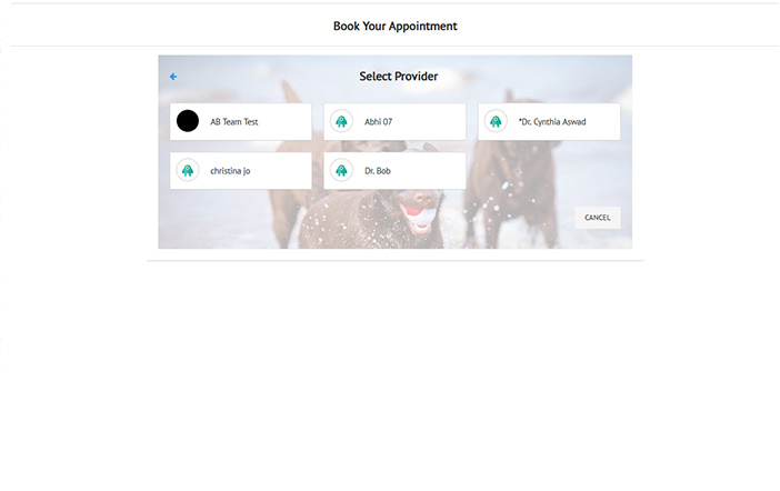 Online appointments