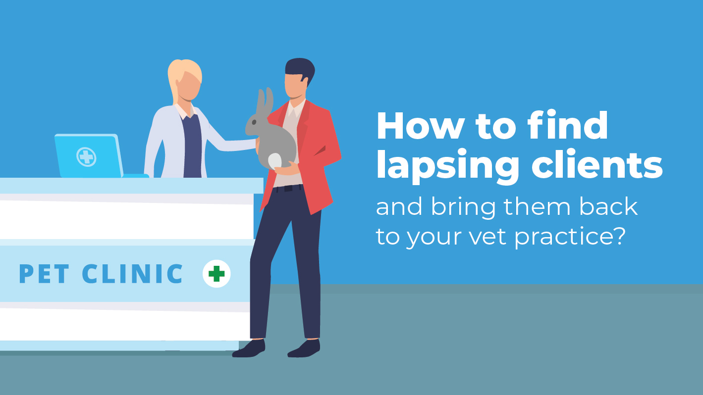 How to find your lapsing clients and bring them back to your vet practice