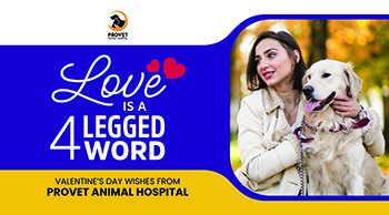 Postcard Thumbnail