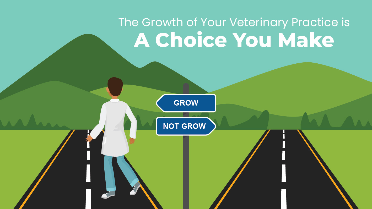 make your veterinary practice stand out