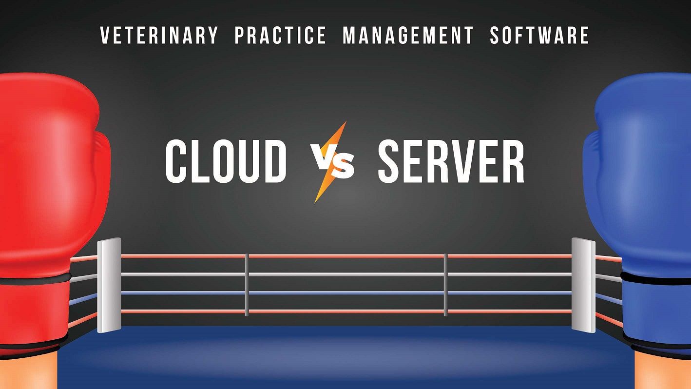 Veterinary Practice Management Software : Cloud vs Server Based PMS