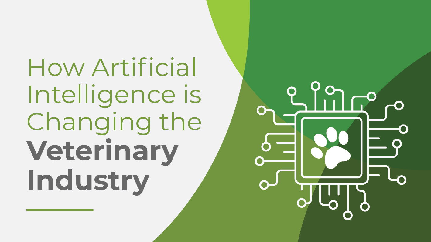 AI in veterinary medicine