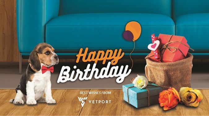 veterinary birthday card