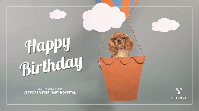 veterinary birthday card