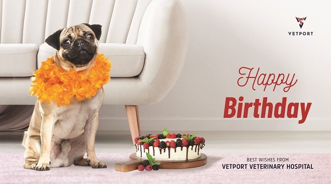 veterinary birthday card
