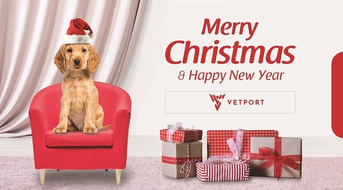 veterinary christmas card