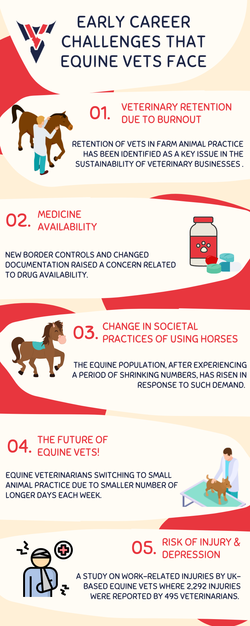 Early Career Challenges That Equine Vets Face