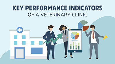 setting key performance indicators for veterinary practice