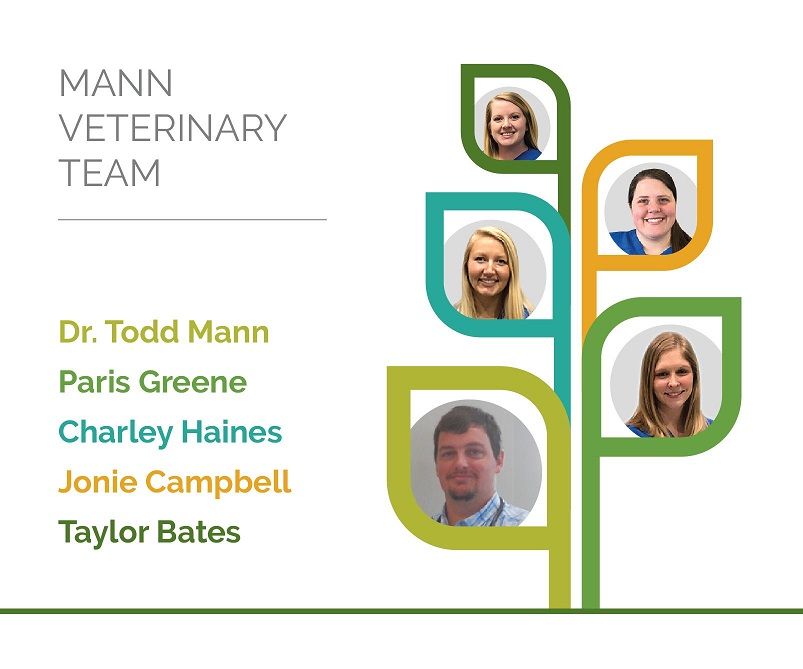 Mann Veterinary Staff