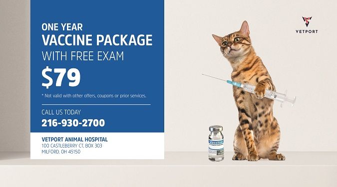 veterinary offer card