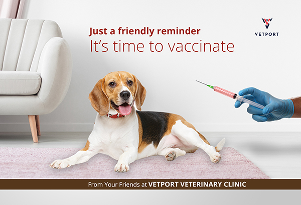 veterinary reminder card