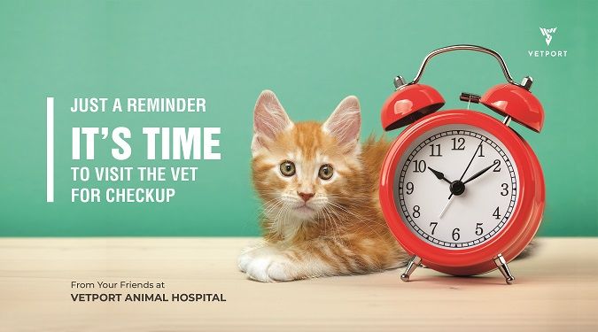 veterinary reminder card