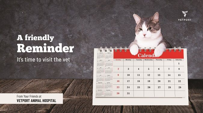 veterinary reminder card