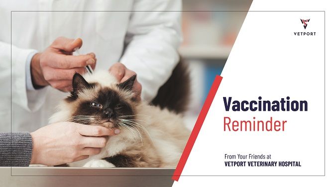 veterinary reminder card