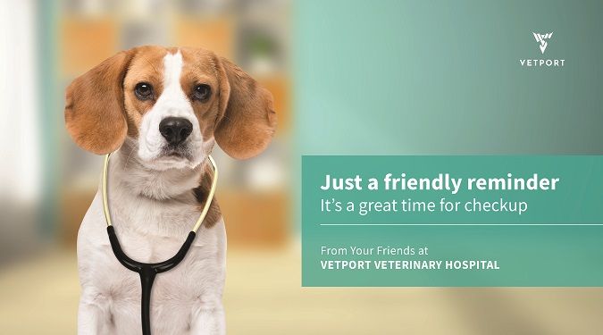 veterinary reminder card