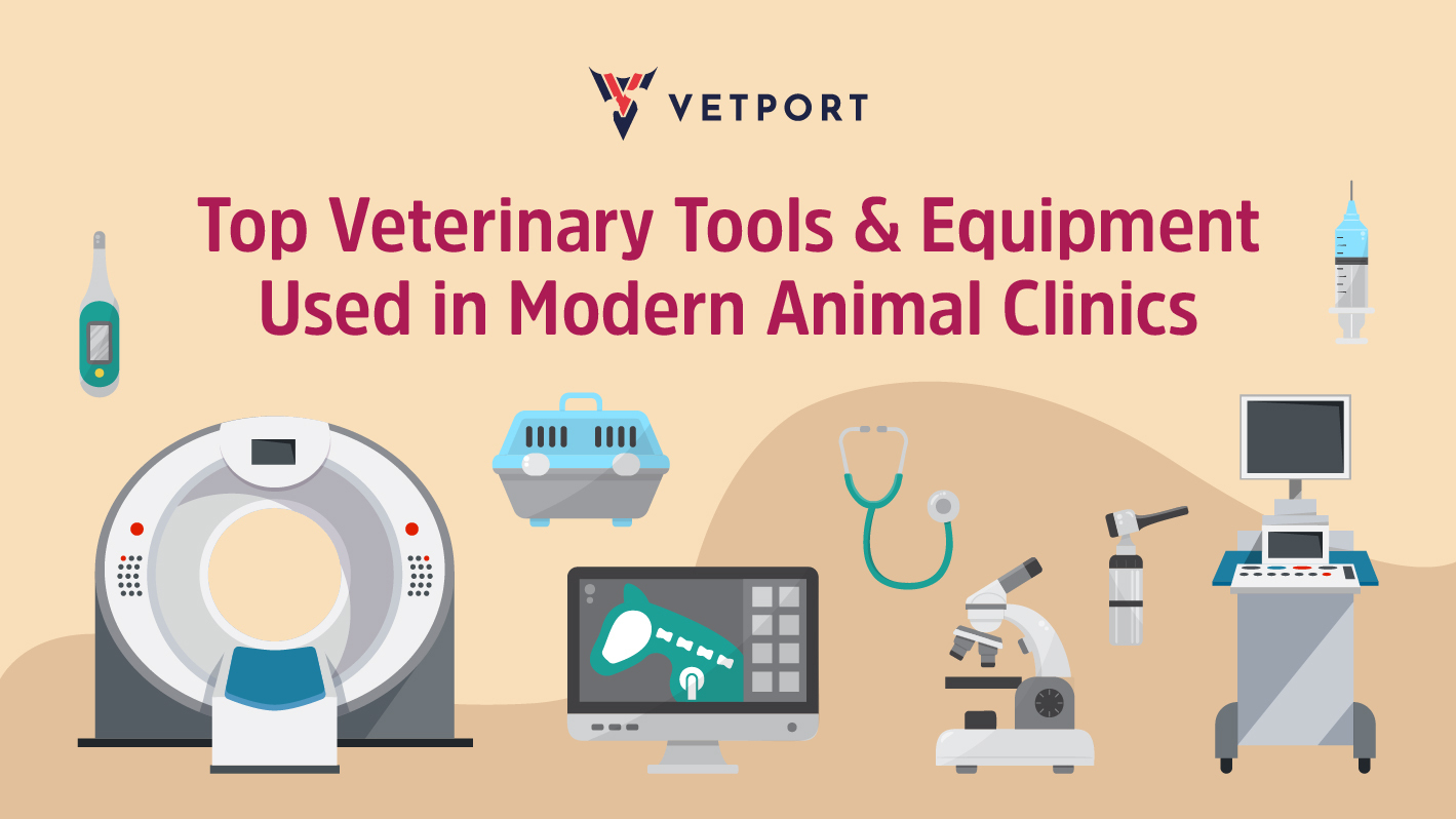 Top Veterinary Tools & Equipment Used in Modern Animal Clinics