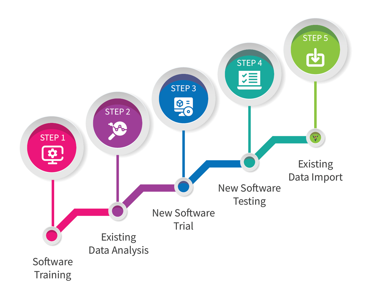 What does the veterinary software migration process look like?