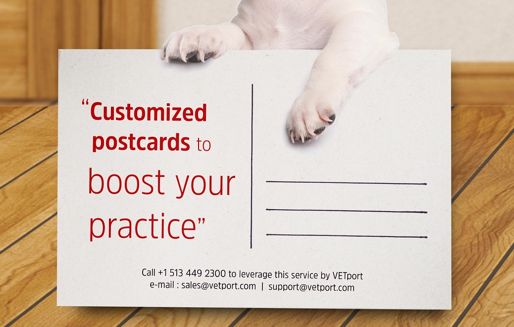 Vetport postcard